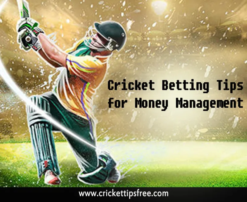 Cricket Isn't the NFL: Why Your Bankroll System Is Built for the Wrong Sport